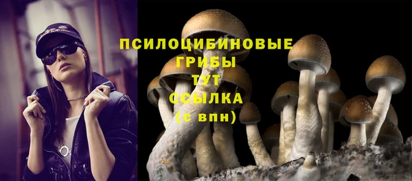 PSILOCYBIN Костерёво